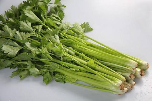 芹菜