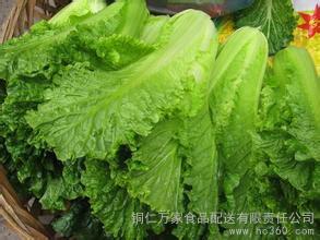 青口白菜（德江）