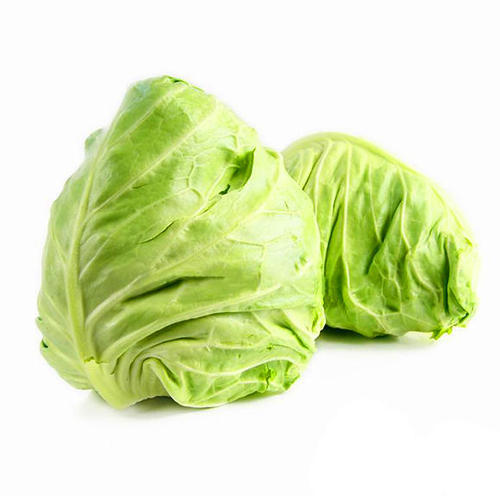 牛心菜